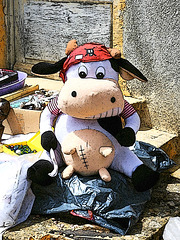 Vache pirate