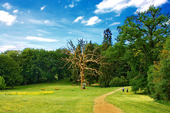 Im Kaarzer Schlosspark