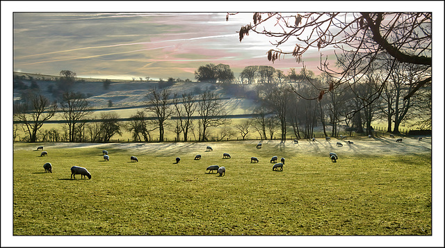 A Typical Dales View