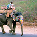 Überlandstrasse in Indien (© Buelipix)