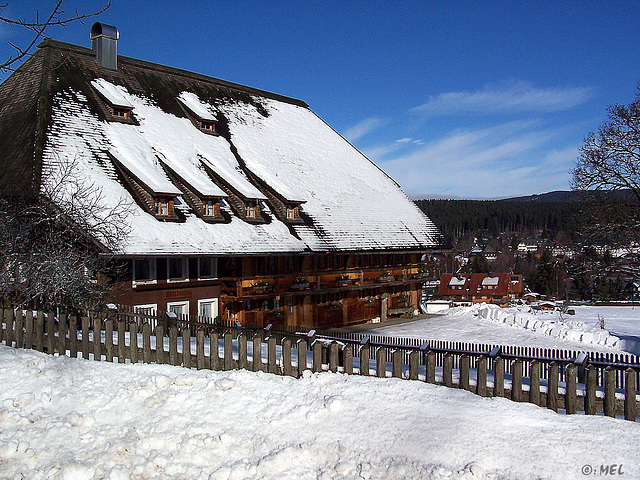 Der Zaun am Schwarzwaldhaus