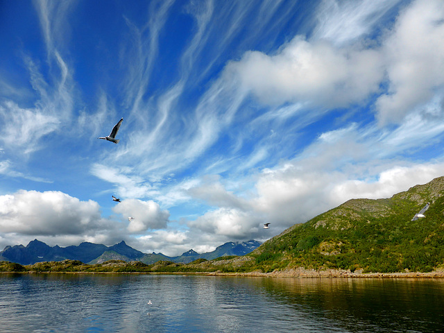 Landscape with Clouds - SPC 03/2018 - 1° place - Cielo nordico