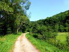 DE - Schleiden - Landscape near Mauel