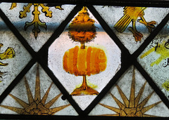 elham church, kent,  glass, c15 quarries (56)