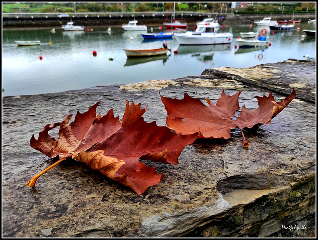 Otoño en Plentzia