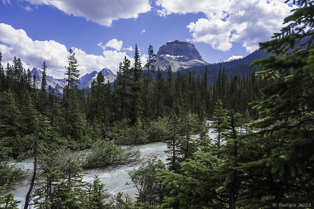 am Takakkaw Creek (© Buelipix)