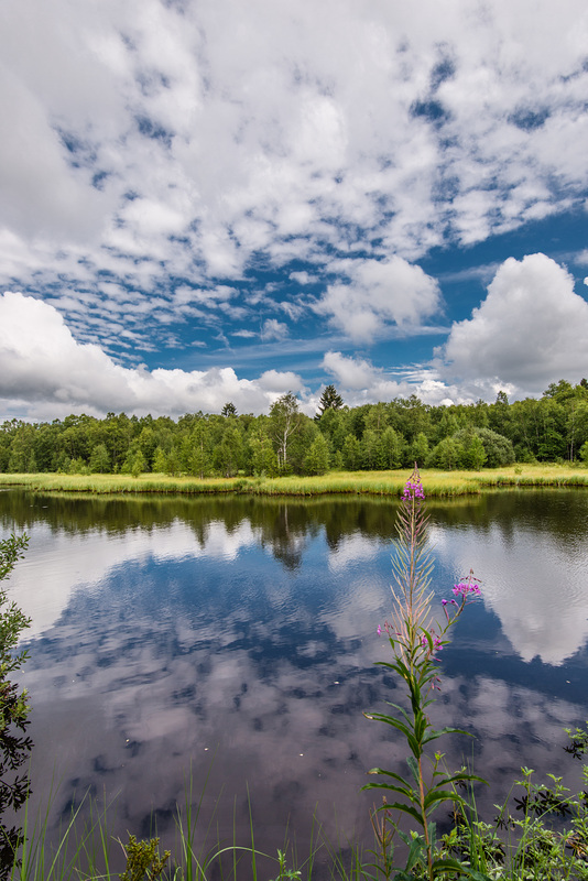 Rotes Moor - 20150815