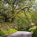 Kinder Road, Hayfield.