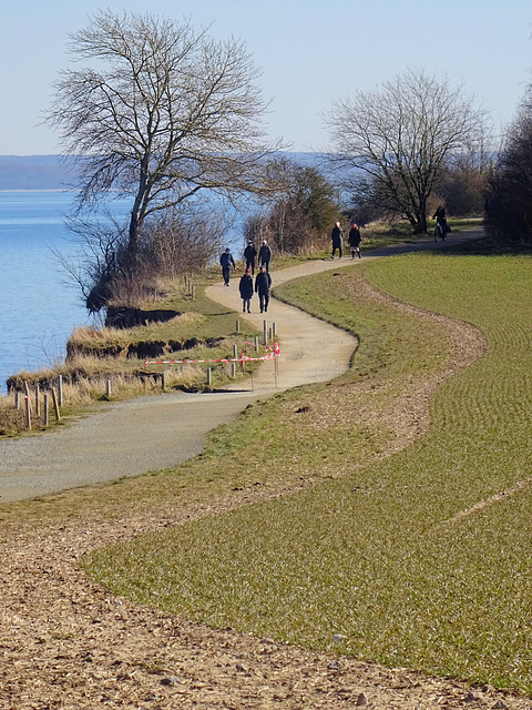 Weg am Brodtener Steilufer