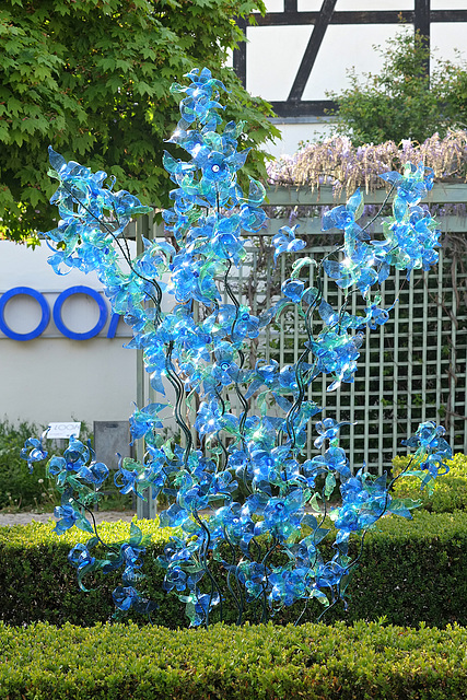 Blaue Blumen Busch