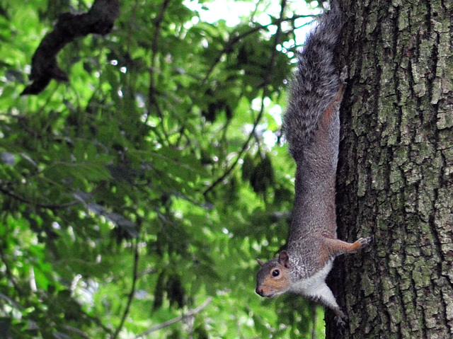 Just hanging out.