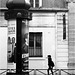Boulevard Saint-Germain