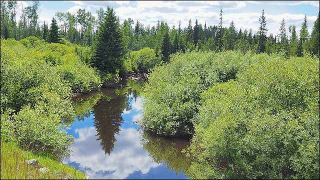 Baker Creek