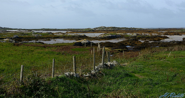 Connemara Fence