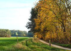 DSCF6789