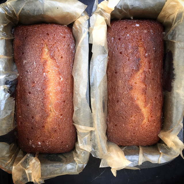 lemon drizzle