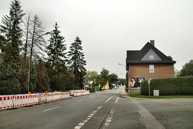 Castroper Straße (Herne) / 3.10.2020