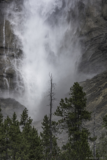 Takakkaw Falls (© Buelipix)