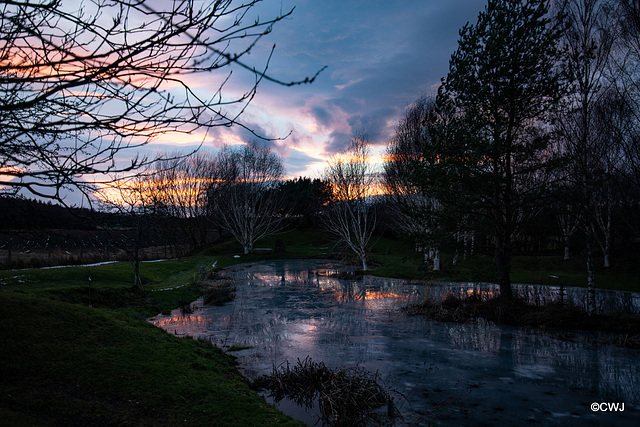 Winter sunset over the pond