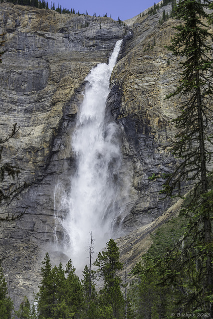 Takakkaw Falls ... P.i.P.  (© Buelipix)