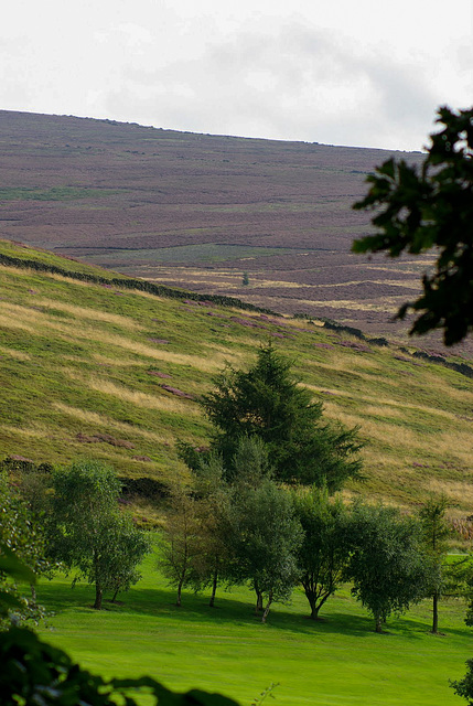 To the Moorland