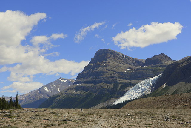 Rearguard Mountain and Berg Glacier