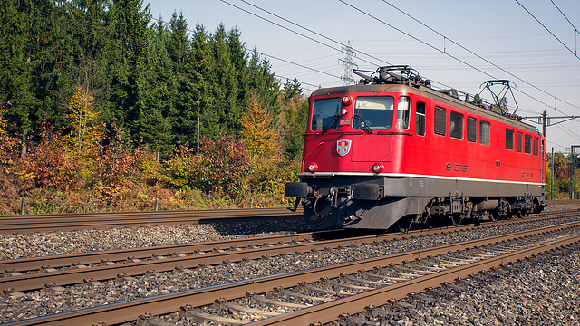 081015 Ae610 Rupperswil E