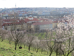 Prague, panorama 13.