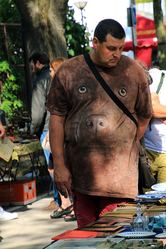 Nom d'un chien !