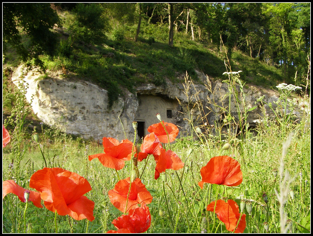 Cave home poppy