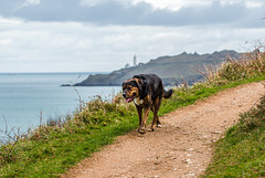 Hallsands -20190318