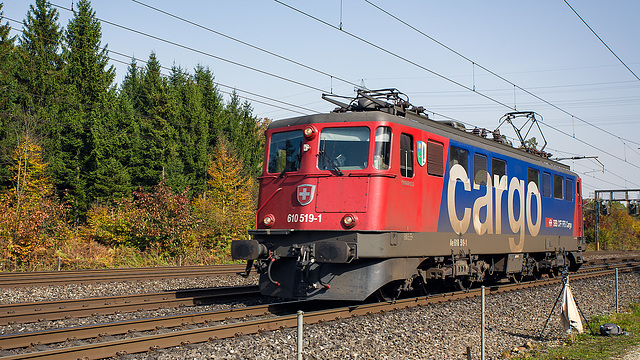 081015 Ae610 Rupperswil F
