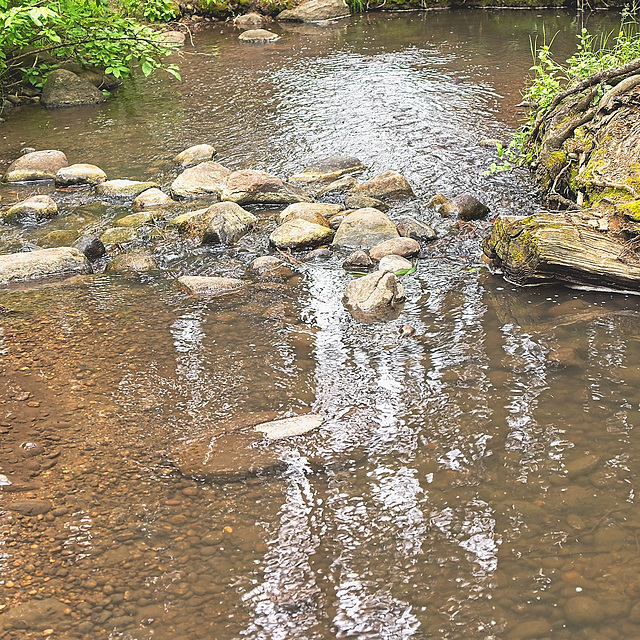 ripples on the creek 2