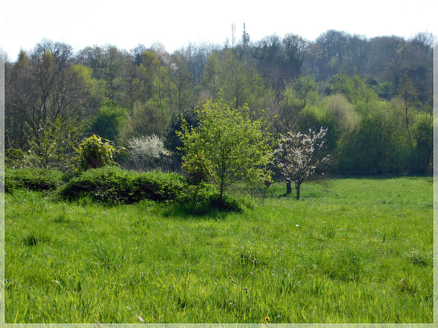 La colline de Brandefert à Plancoet