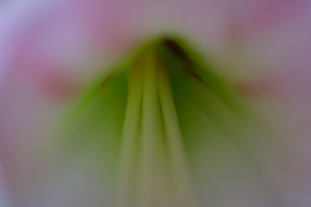 DSCF2369