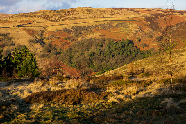 Cock Hill from Shire Hill