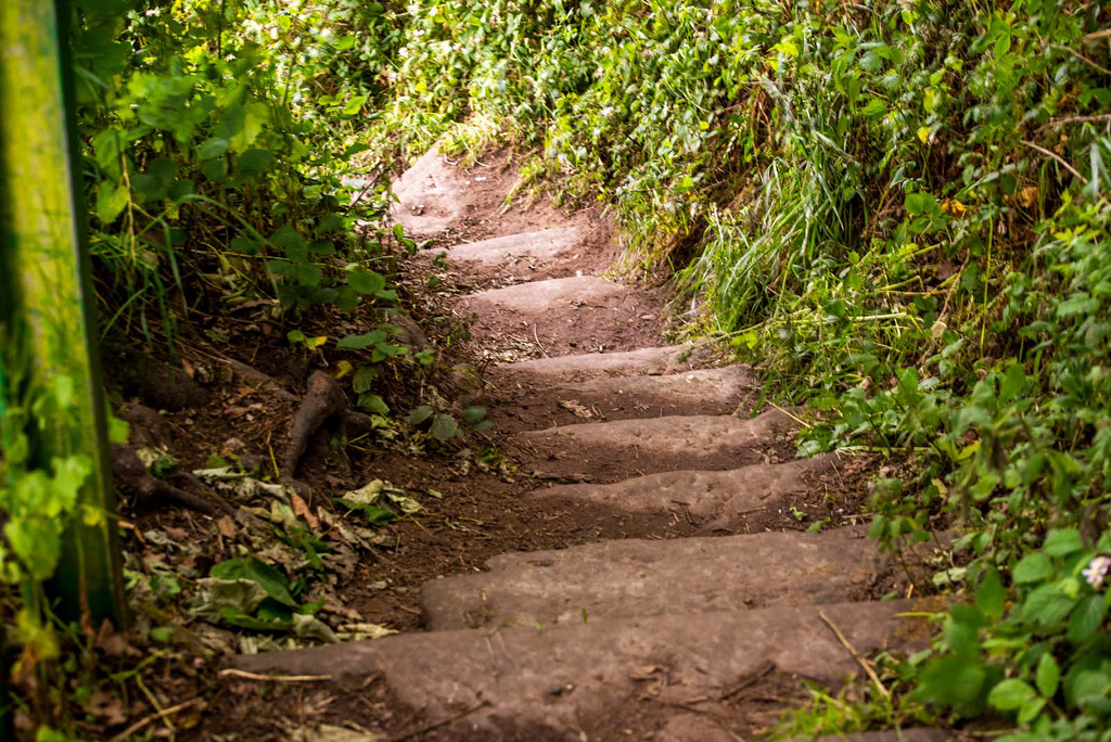 Eastham woods. These steps lead to an old ferry crossing.
