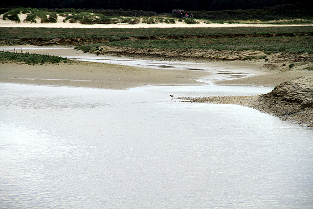 Baie de Somme