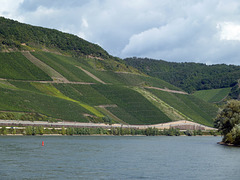 Das Weinbaugebiet Mittelrhein