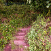 Eastham woods. The bottom of the steps