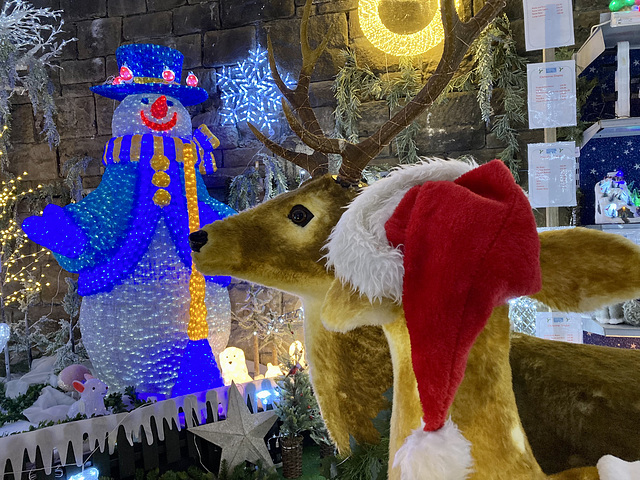 Christmas in our local Garden Centre