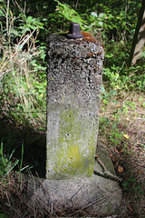 A walk in the Molignée valley, Belgium