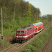 BÖ0033625