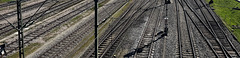 tracks
