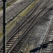 tracks
