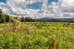 Rotes Moor - 20150815