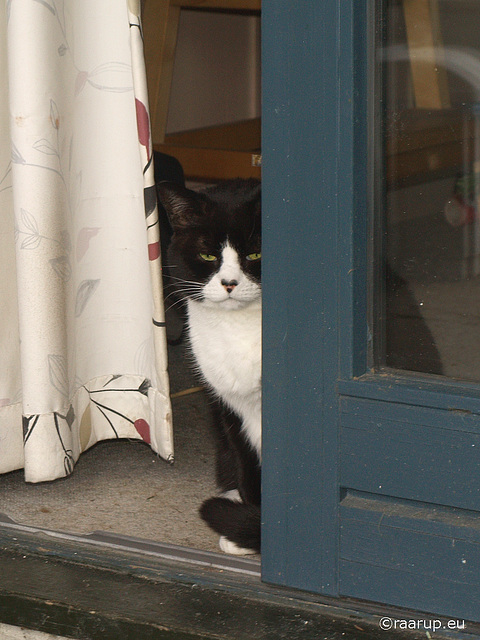 Snow White in the doorway