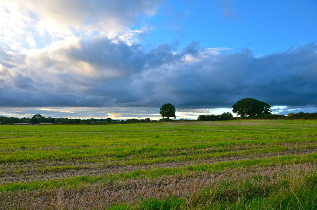 Gnosall skies