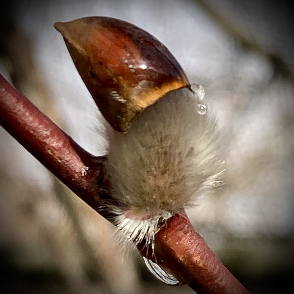 AUFBRUCH in den Frühling :-)