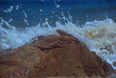 Praia do Cedro - Ubatuba